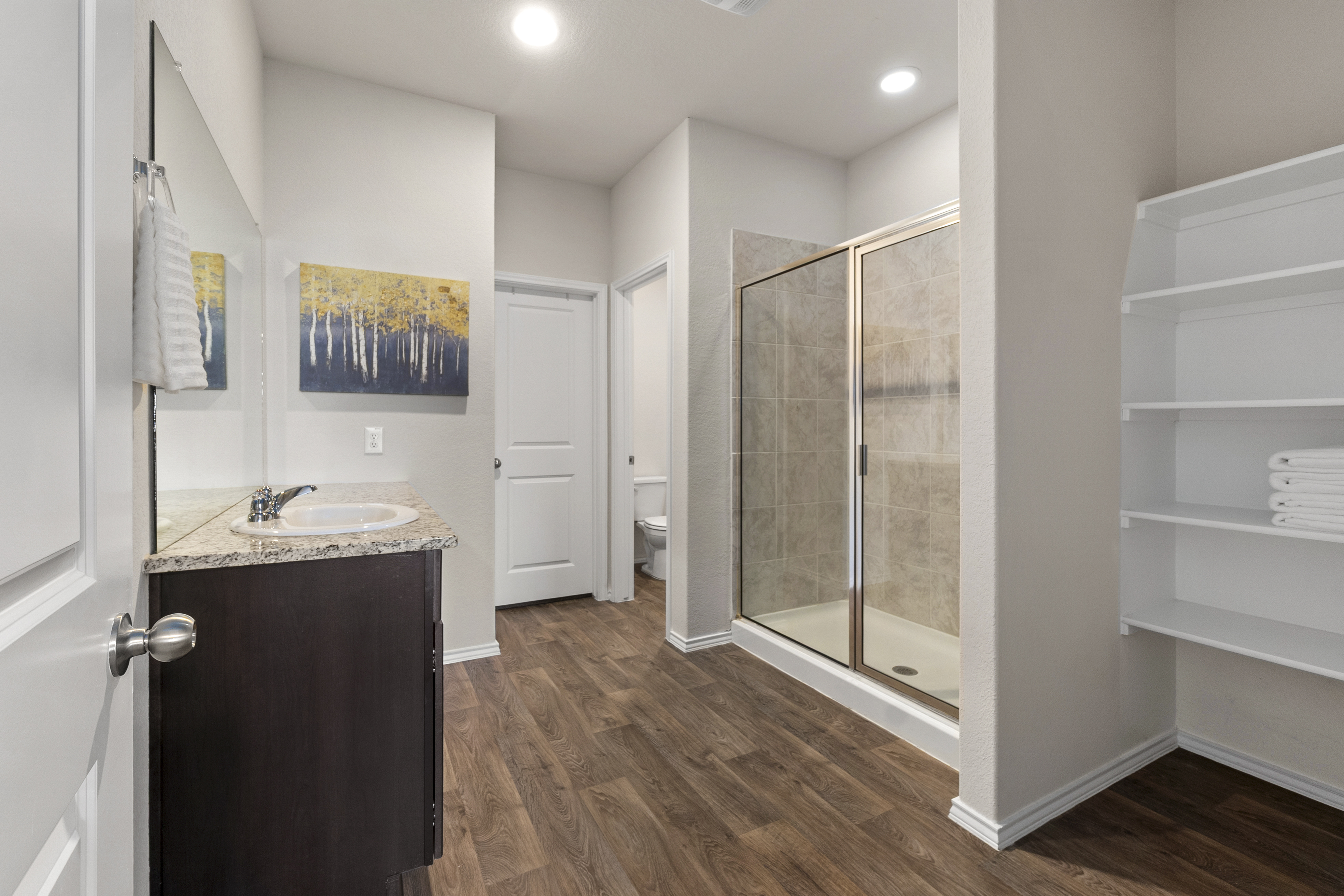 New Braunfels Living with a 2.99% Assumable VA Loan - 物件實景