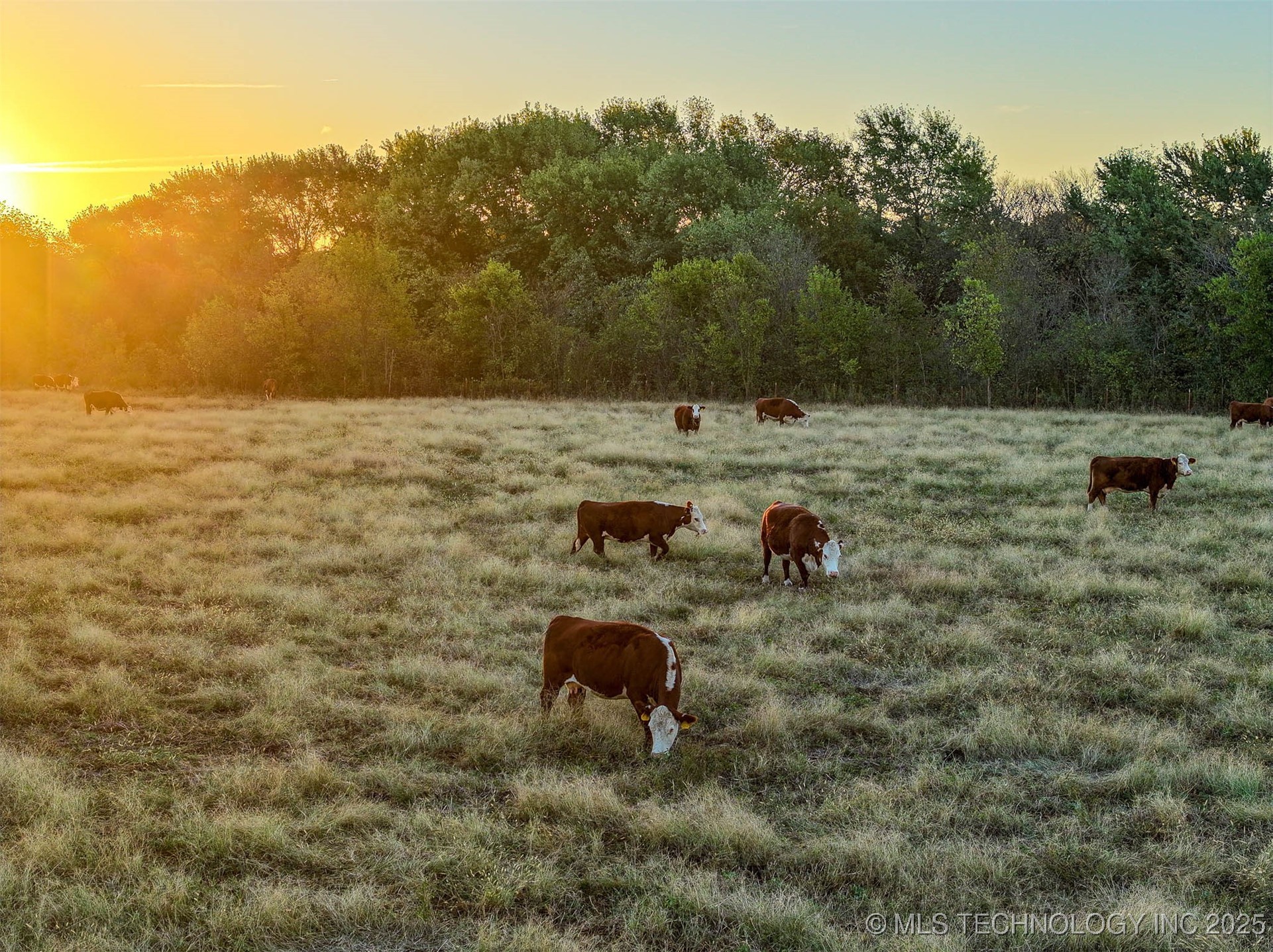 Haskell, Oklahoma, 74436, United States, ,Residential,For Sale,1989058