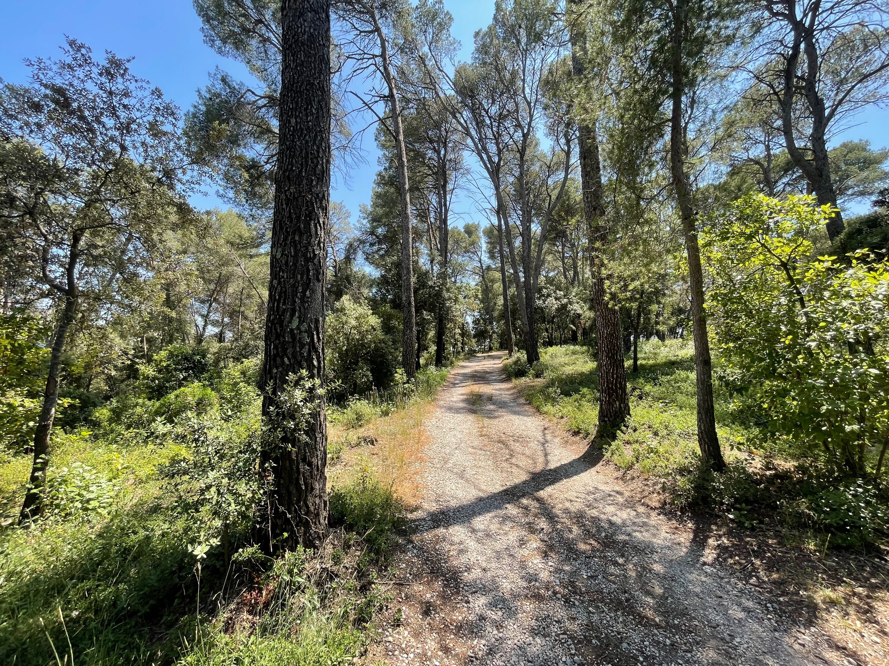  Exceptional property – Plan des Quatre Seigneurs, Montpellier - 物件實景