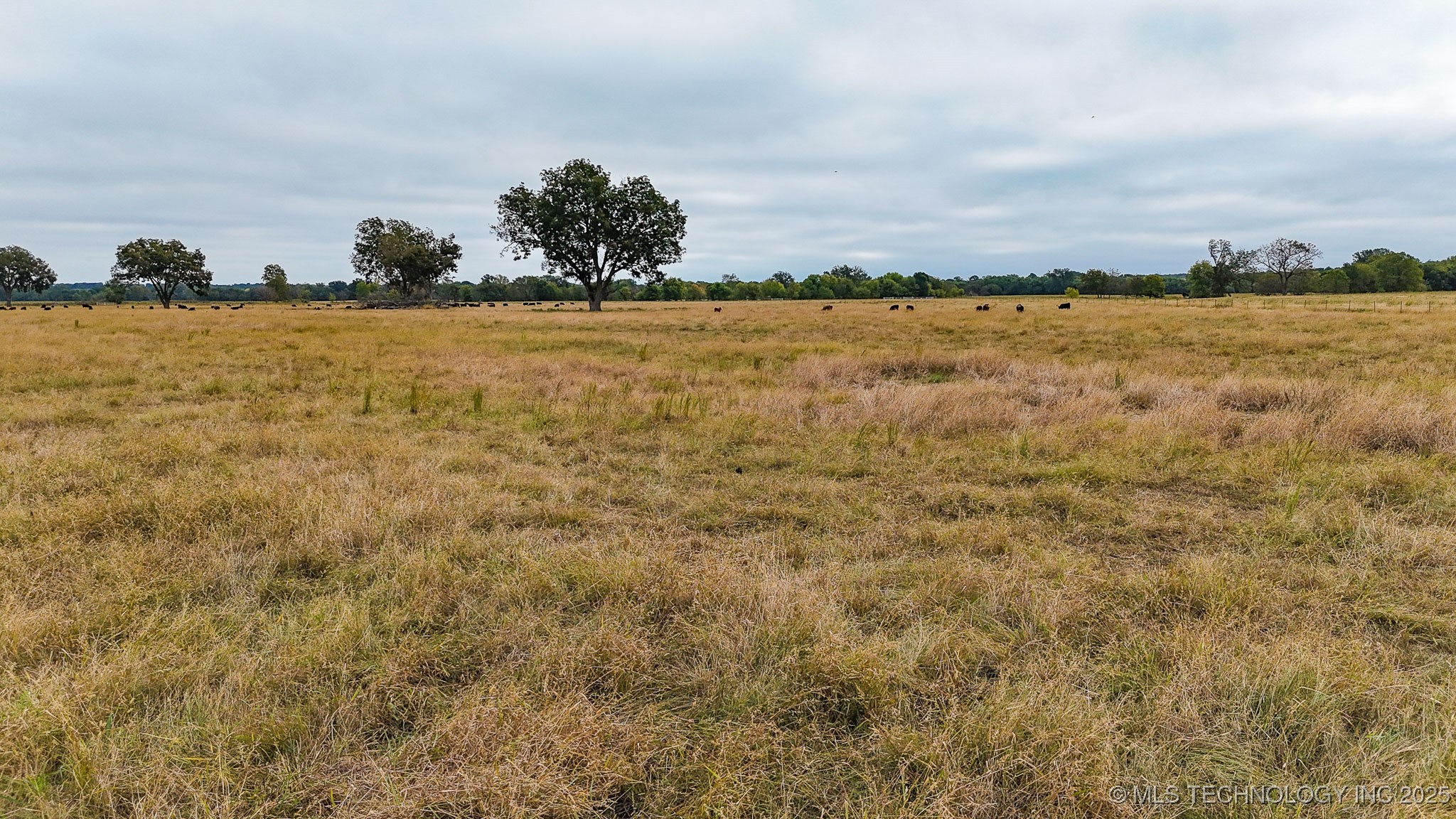 Haskell, Oklahoma, 74436, United States, ,Residential,For Sale,1989058