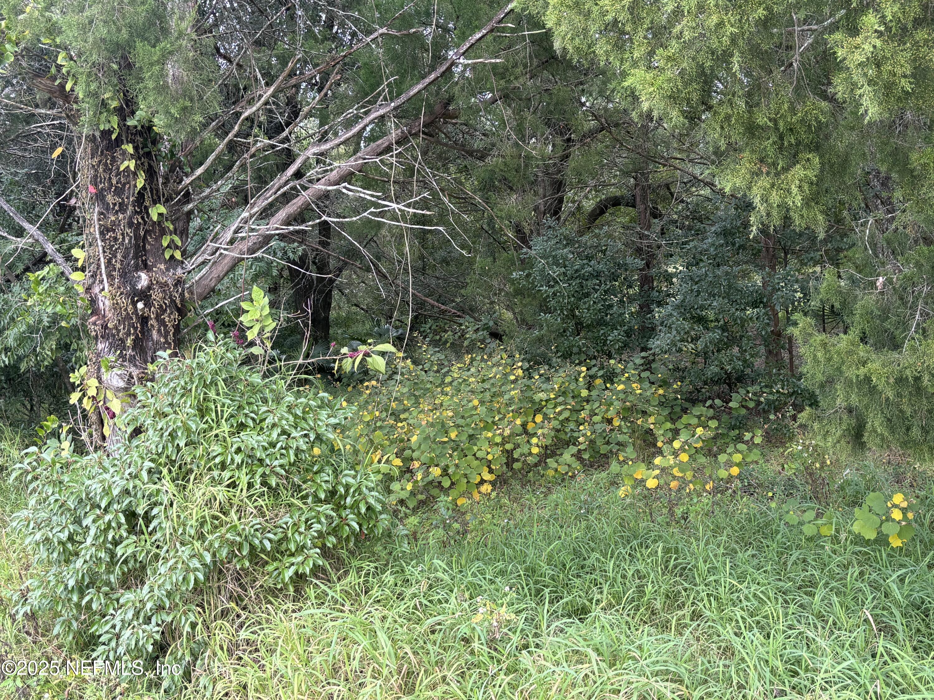 Apopka, Florida, 32712, United States, ,Land,For Sale,2003118