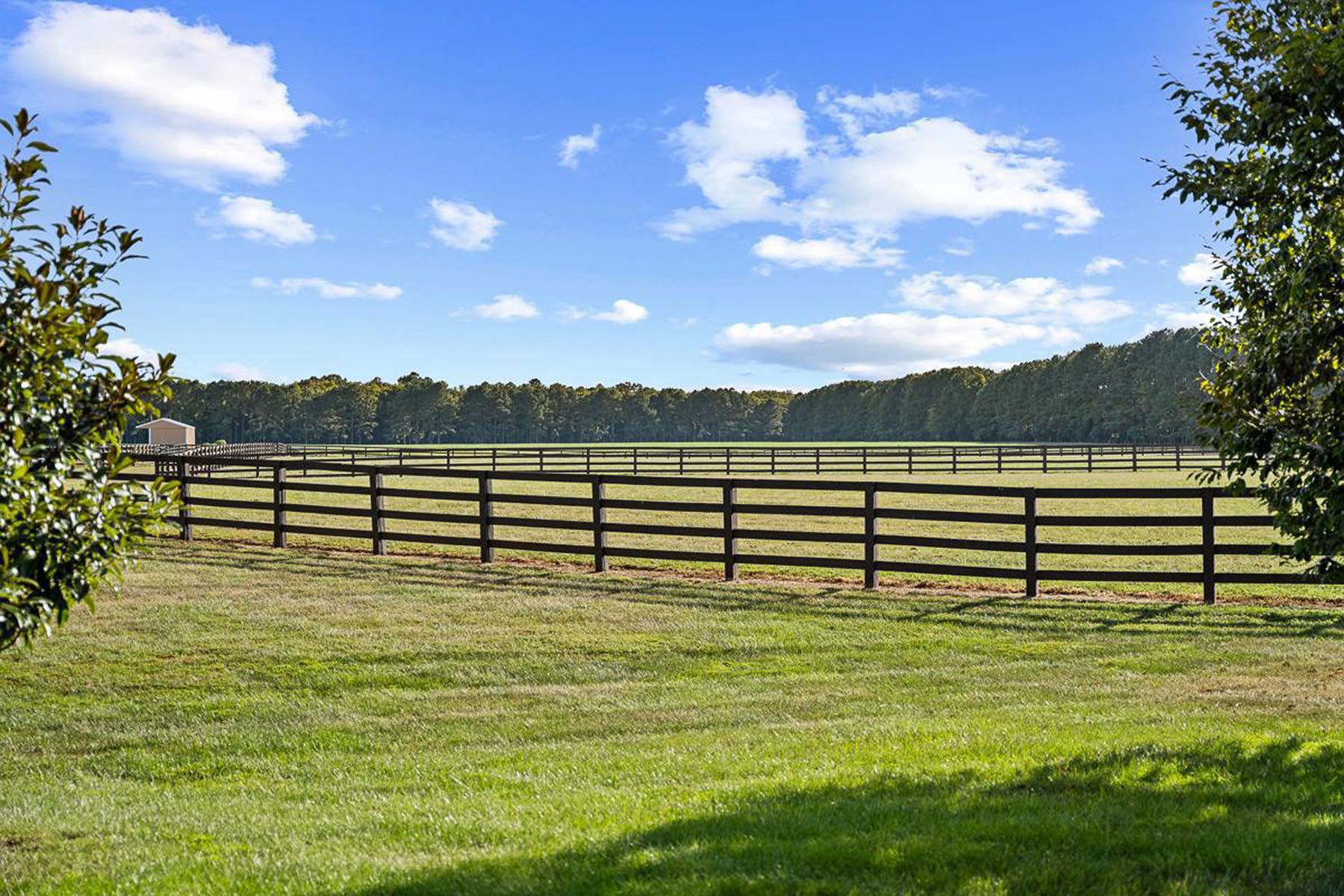  27772 Sharp Road, Easton, MD, 21601 - 物件實景