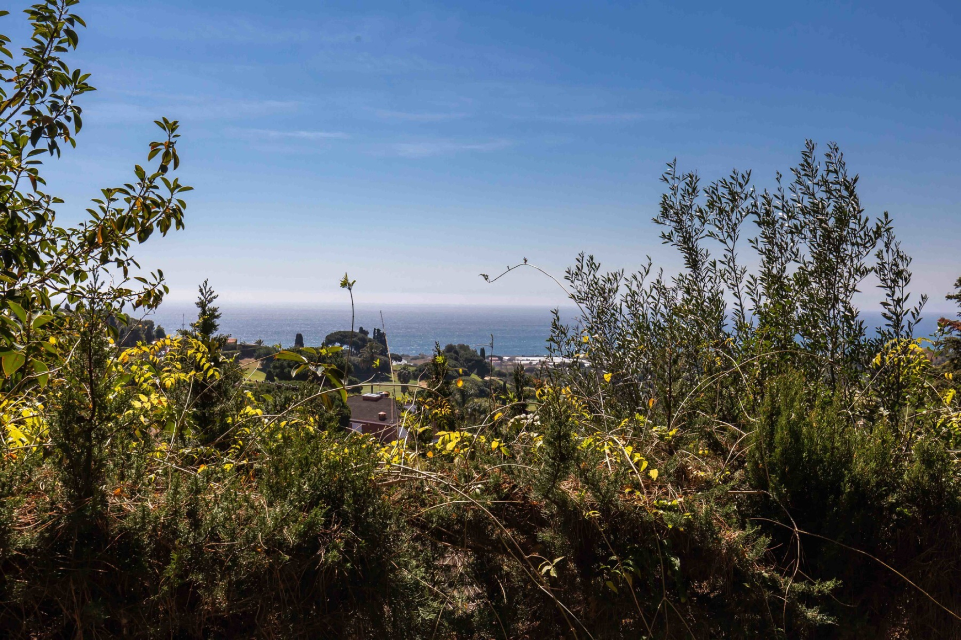  Large property with sea views in Llavaneres - Costa norte Barcelona - 物件實景