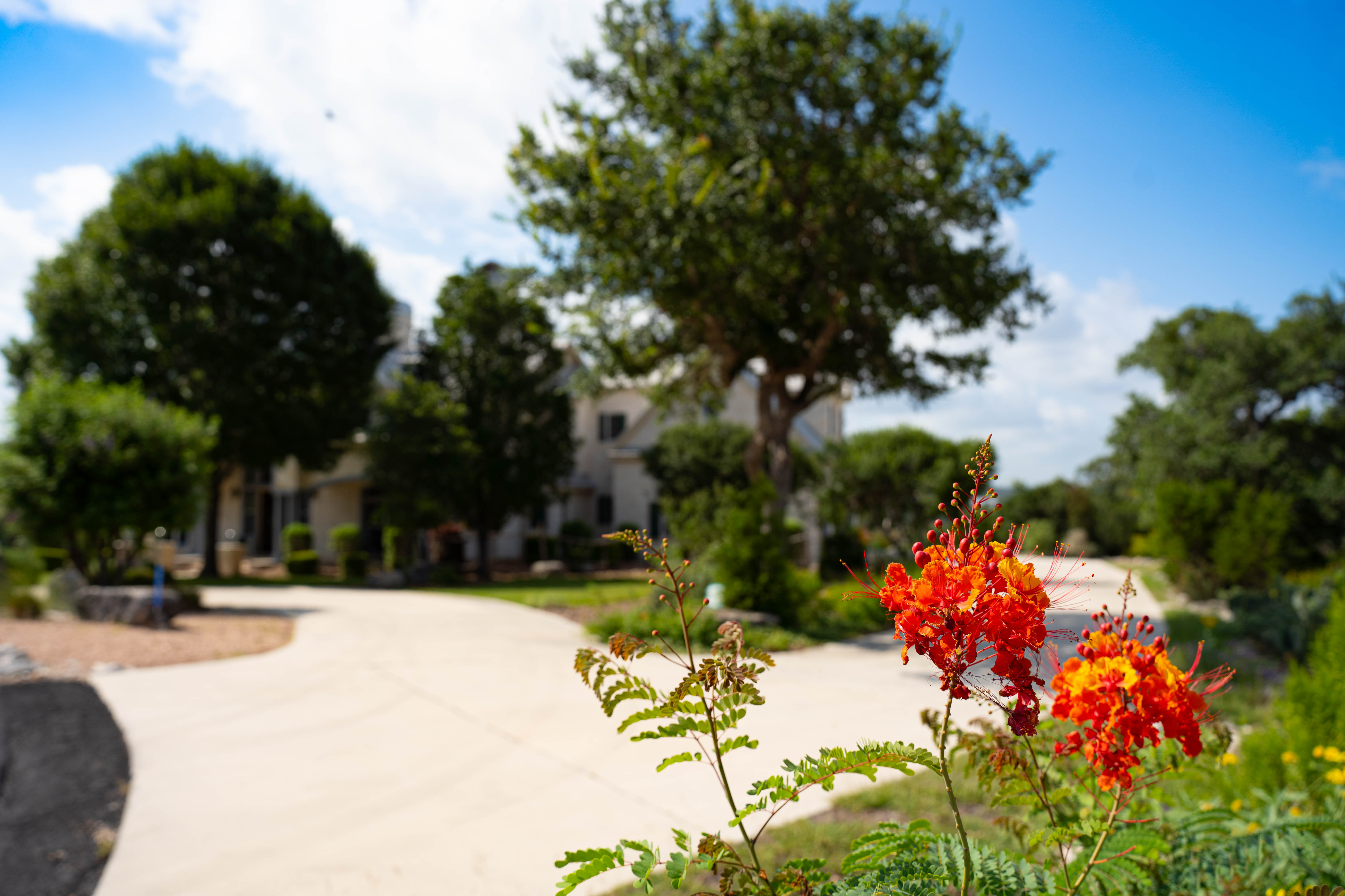  Refined Hill Country Living on the Guadalupe - 物件實景