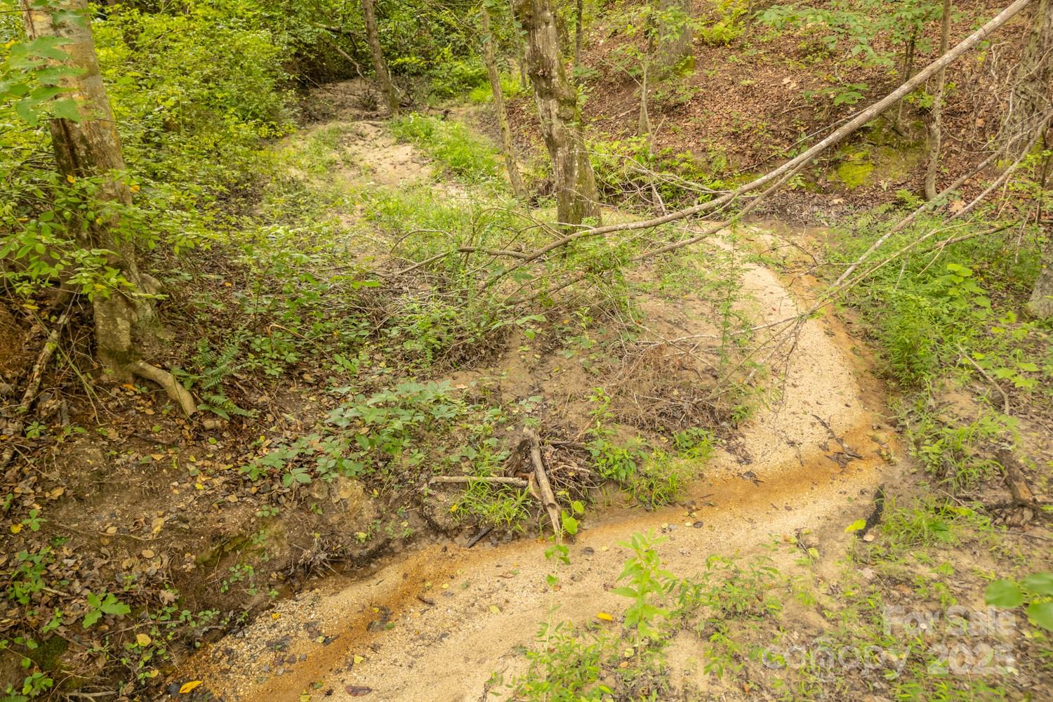 Maiden, North Carolina, 28650, United States, ,Land,For Sale,1940173