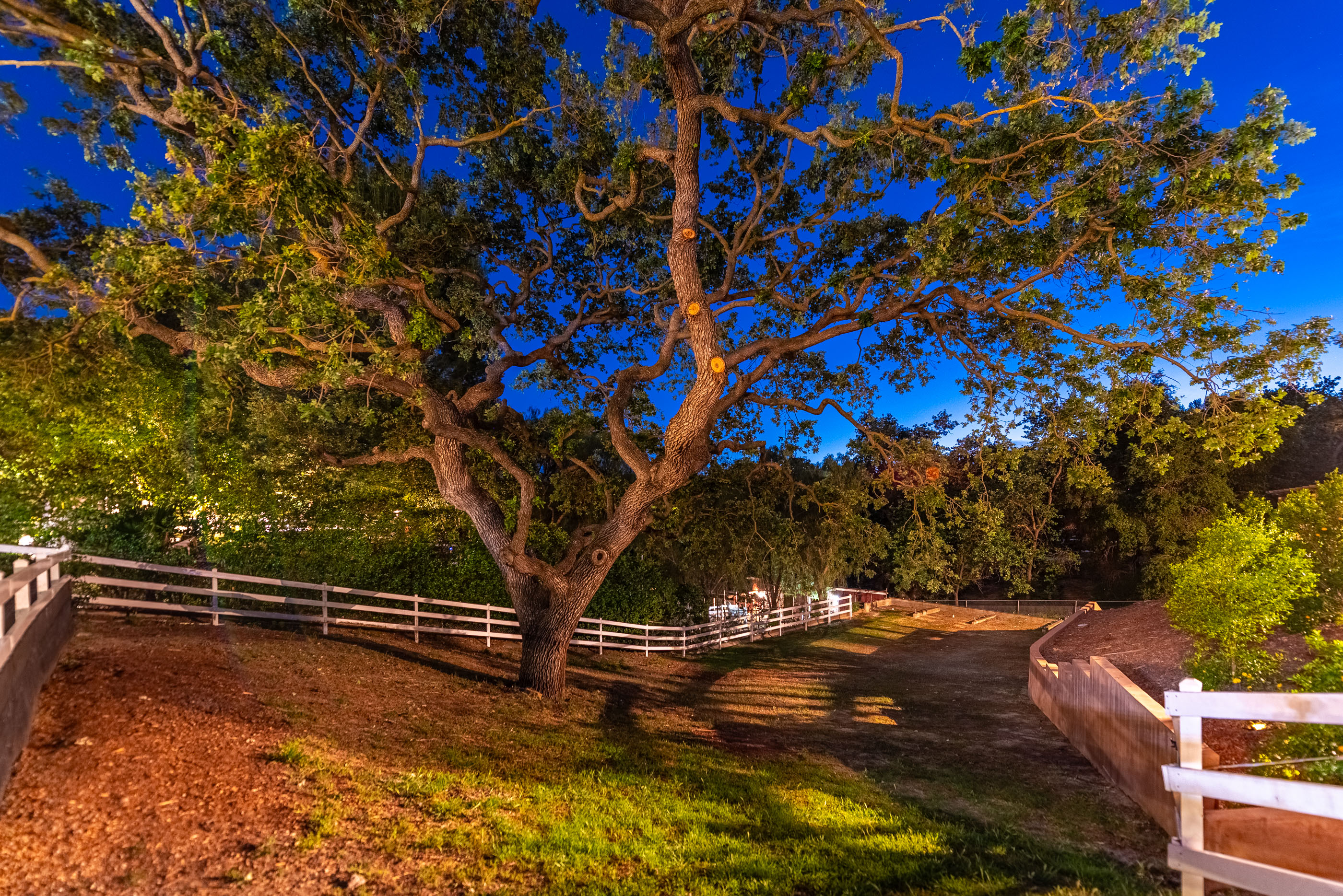  Sprawling Estate in Old Agoura - 物件實景