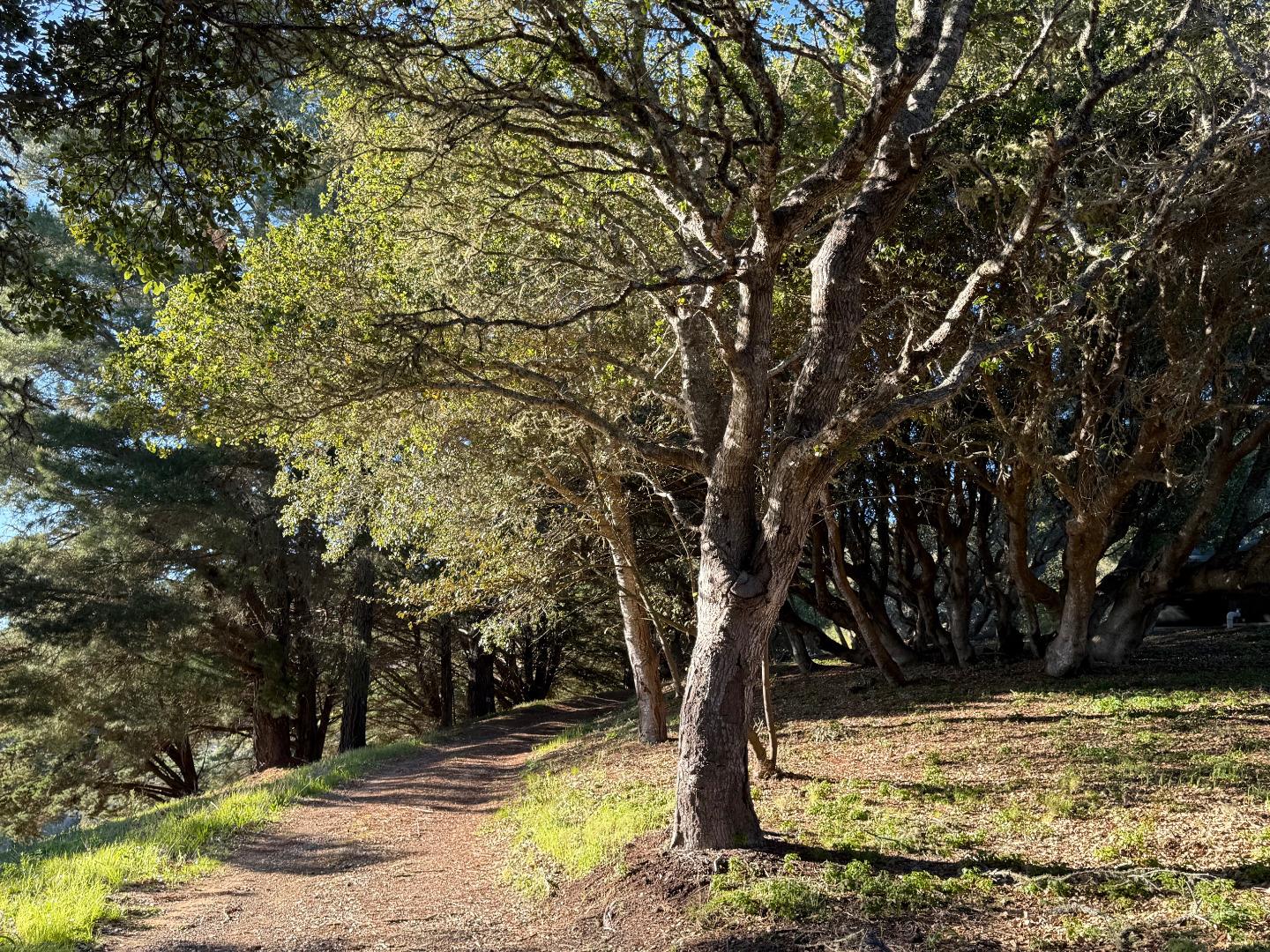 Big Sur, California, 93920, United States, 1 Bedroom Bedrooms, ,2 BathroomsBathrooms,Residential,For Sale,1876422