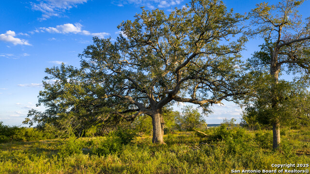 Kingsbury, Texas, 78638, United States, ,Residential,For Sale,1988121