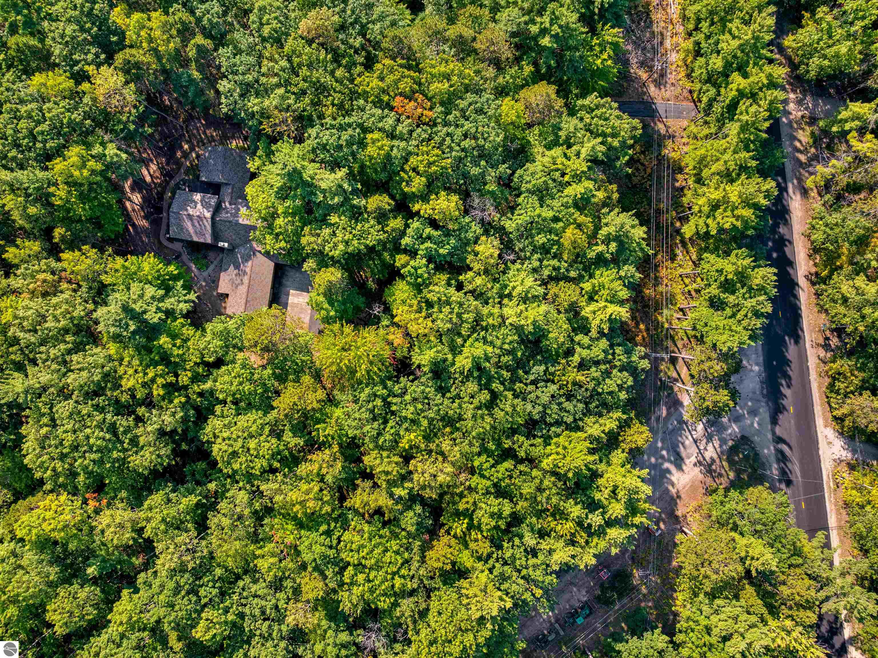 Rapid City, Michigan, 49676, United States, 4 Bedrooms Bedrooms, ,3 BathroomsBathrooms,Residential,For Sale,1977218