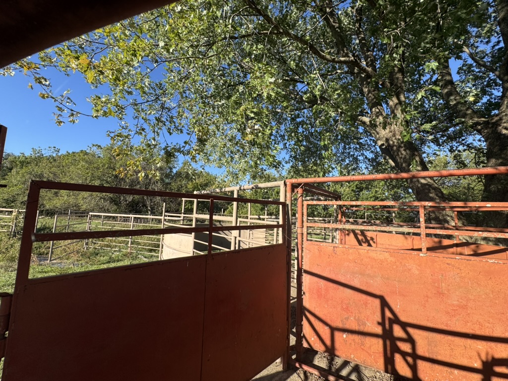 Pierce City, Missouri, 65723, United States, 2 Bedrooms Bedrooms, ,2 BathroomsBathrooms,Residential,For Sale,1987385