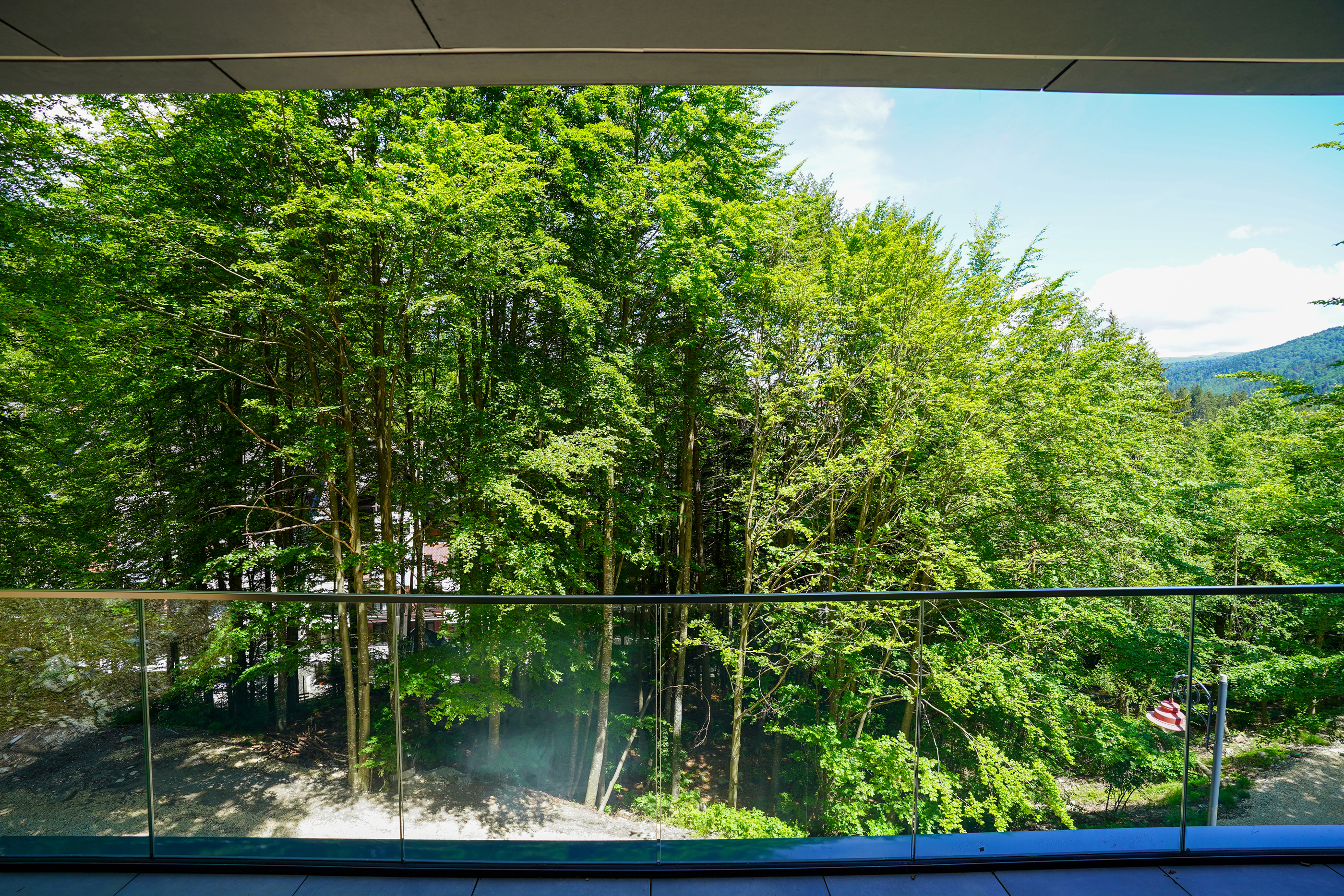  Modern Apartment with Private Garden at the Edge of the Forest, Sinaia - 物件實景