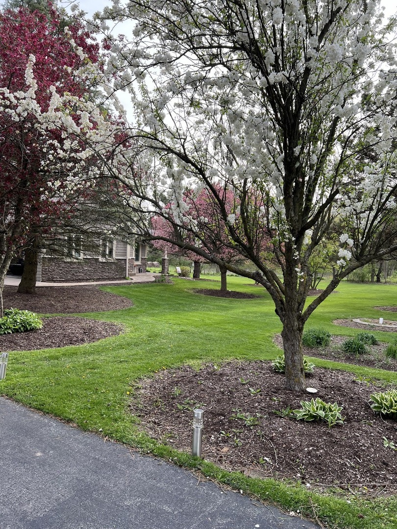 Manhattan, Illinois, 60442, United States, 3 Bedrooms Bedrooms, ,3 BathroomsBathrooms,Residential,For Sale,1939587