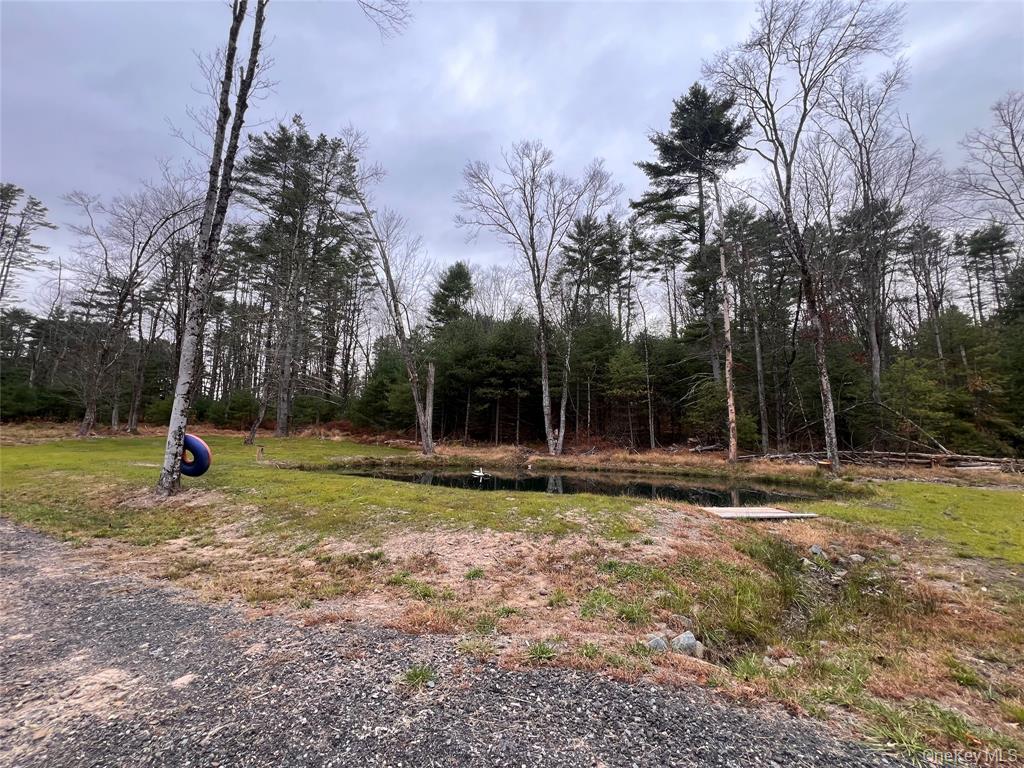 Yulan, New York, 12719, United States, 3 Bedrooms Bedrooms, ,3 BathroomsBathrooms,Residential,For Sale,1982353