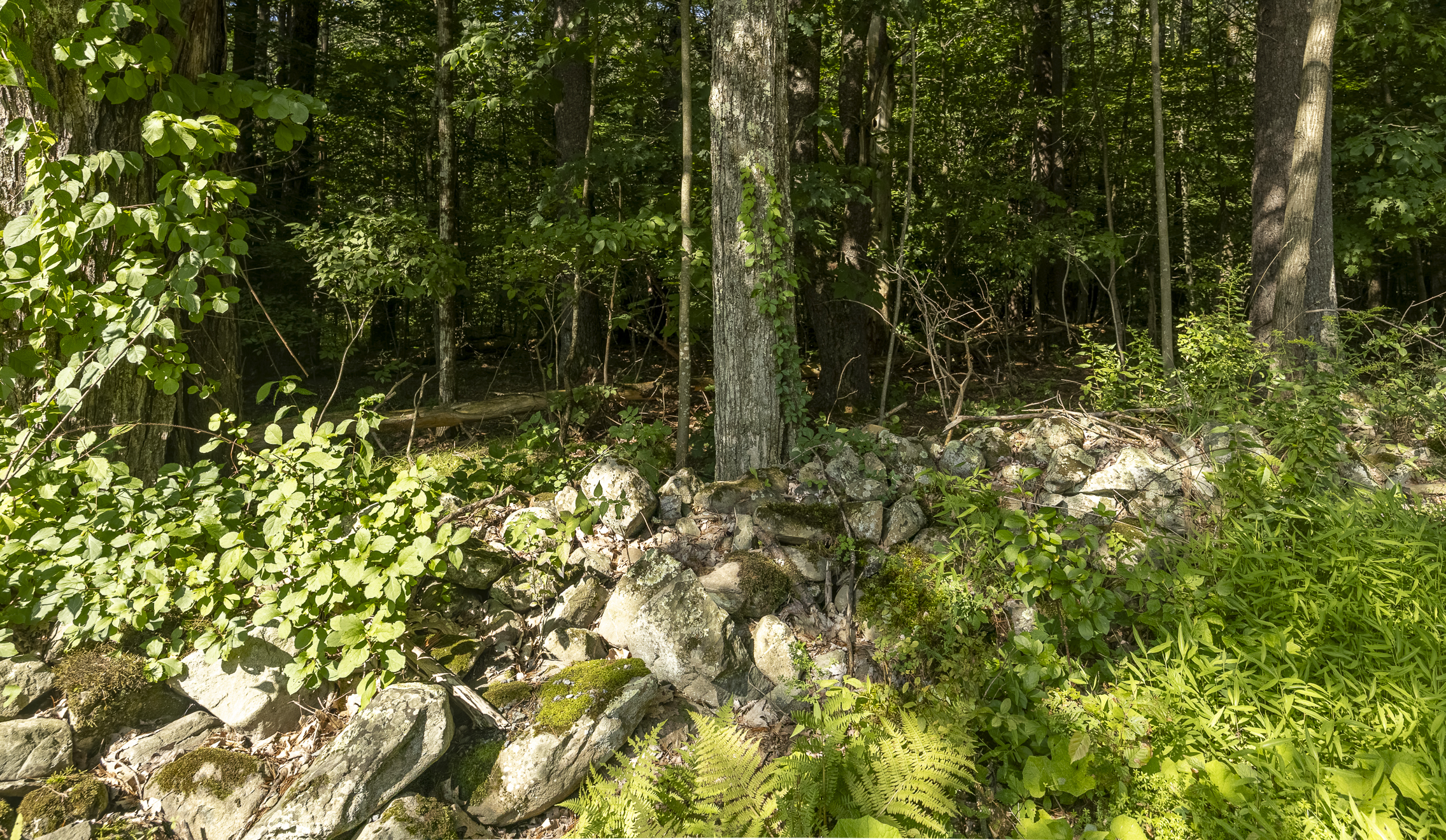  1,180+ Feet of Frontage: Privacy & Seclusion within Easy Reach of the Berkshires - 物件實景