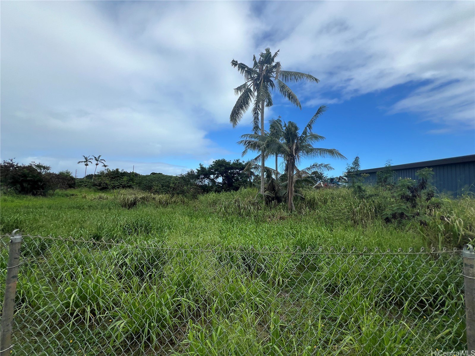 Waimanalo, Hawaii, 96795, United States, ,Land,For Sale,2005433