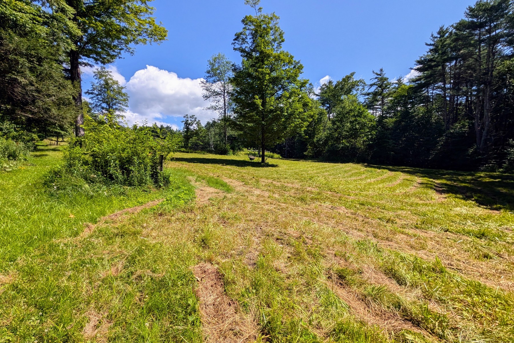  51 Dusty Ridge Road - 物件實景
