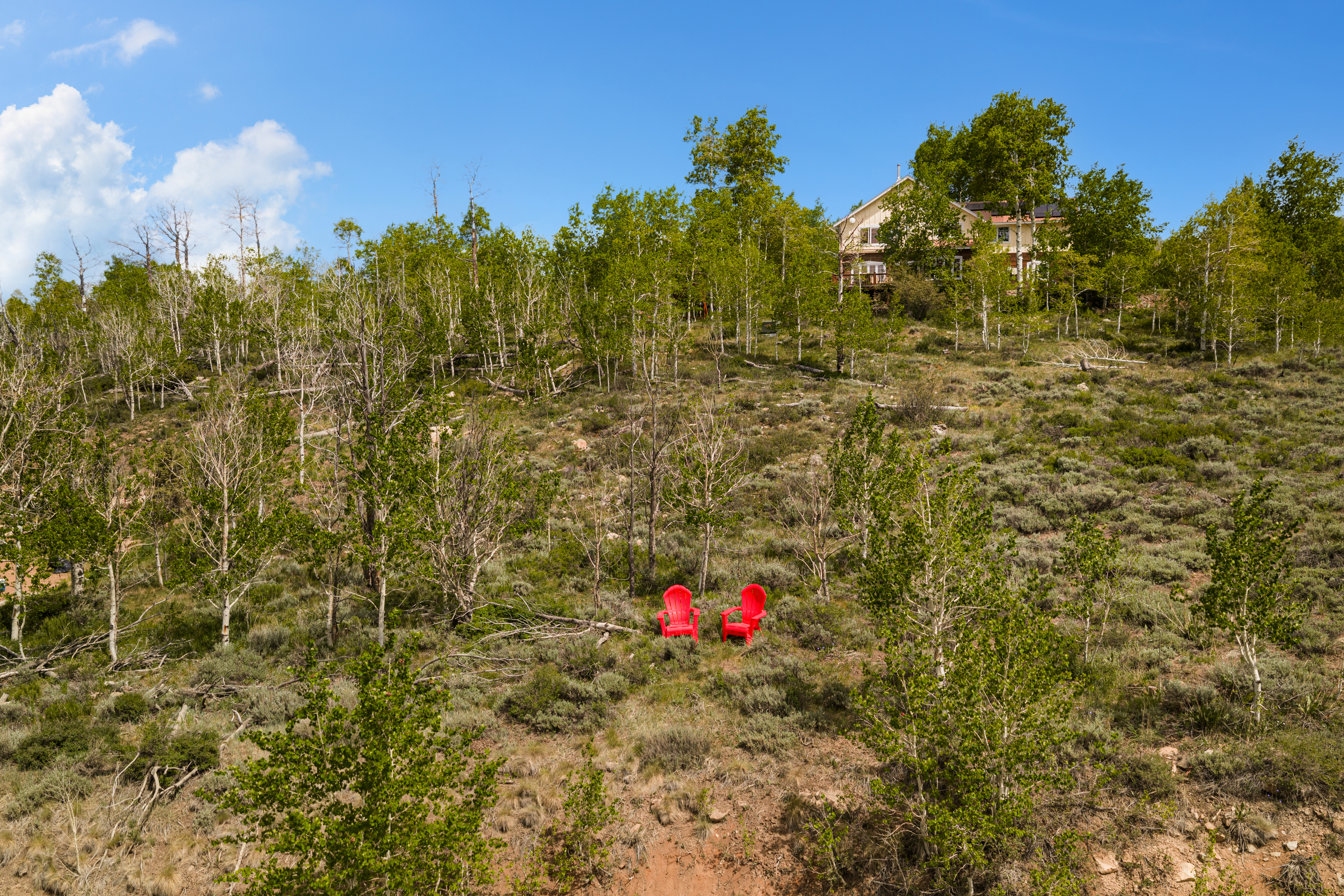  Elevated Homesite in Crested Butte South - 物件實景