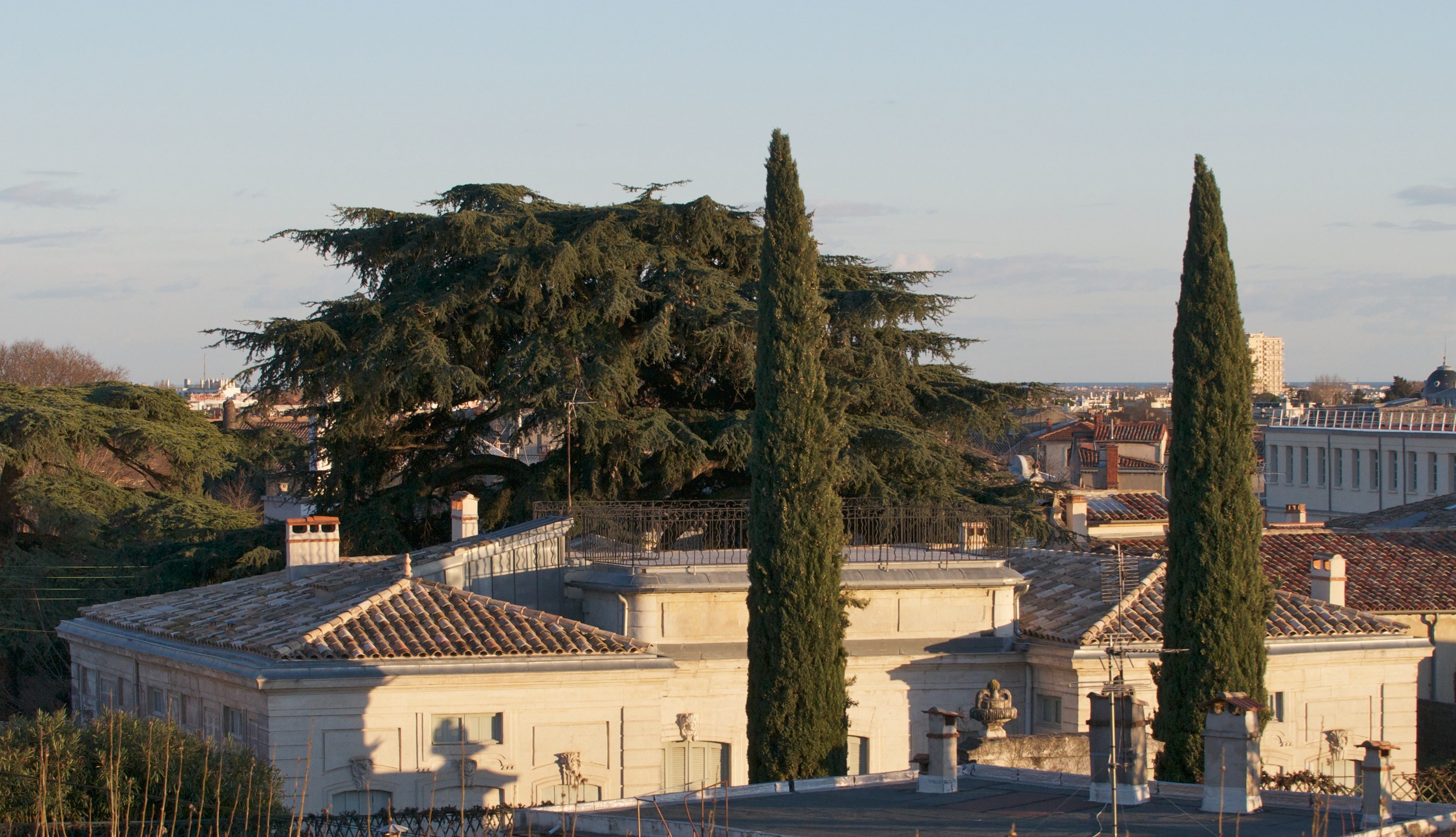  Montpellier City Center – Historic Townhouse with Garden and Outbuildings - 物件實景