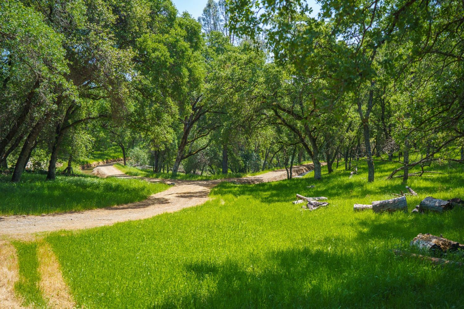 Lincoln, California, 95648, United States, ,Land,For Sale,1784125