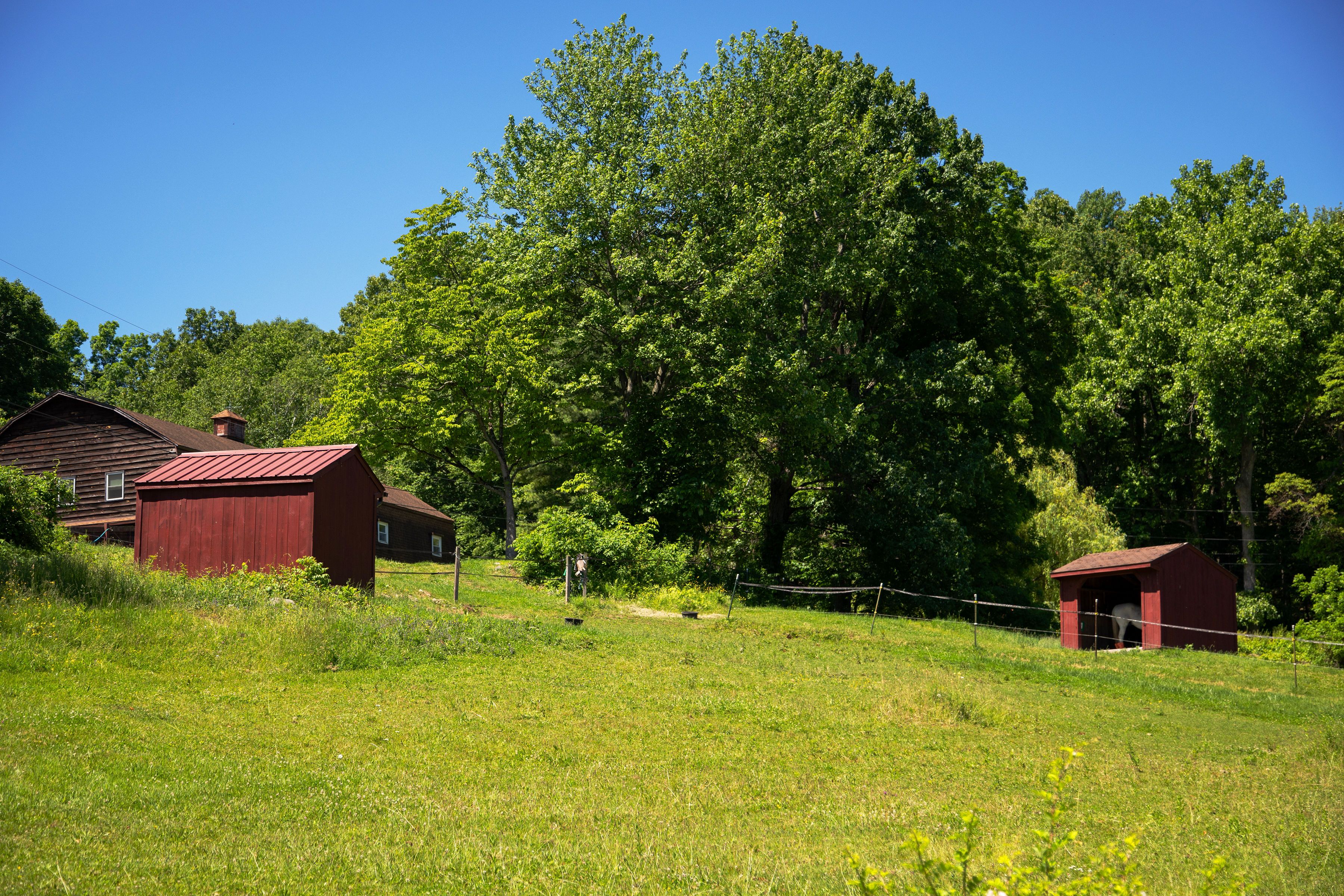  322 Schultz Lane, Kingston, NY 12401 - 物件實景
