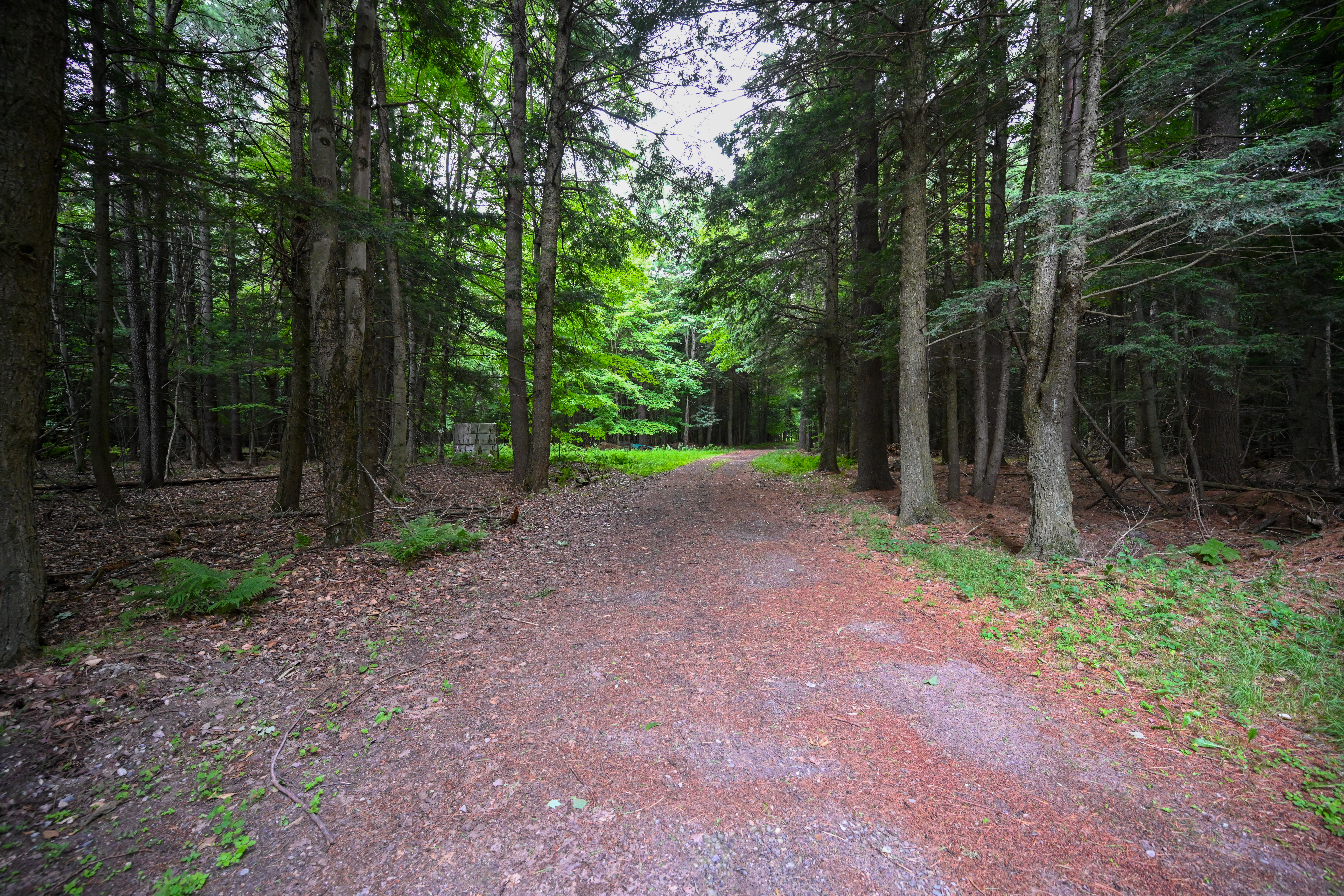  661 Chasm Road, Chateaugay, NY, 12920 - 物件實景