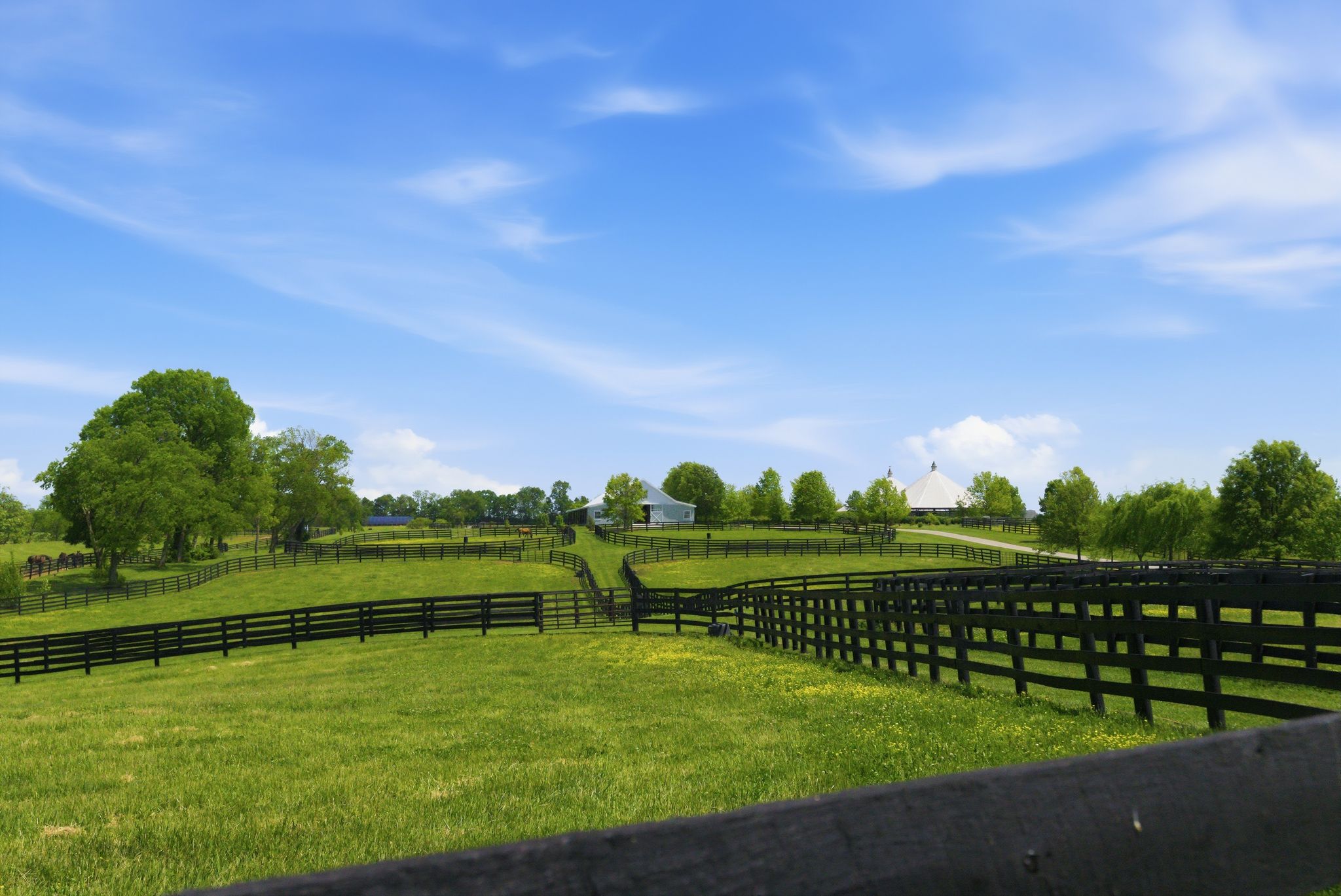  6166 Greenwich Pike - 物件實景