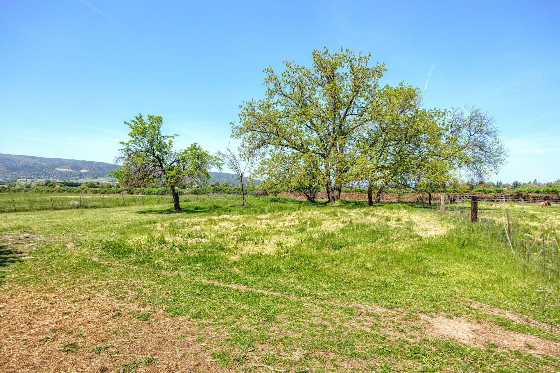  3600 Madrona Lane Medford, OR 97501 - 物件實景