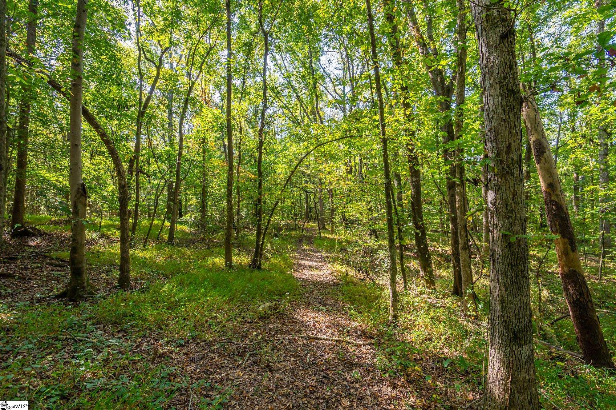 276 Burns Road, Greer, South Carolina, 29651, United States, ,Land,For Sale,276 Burns Road,1628297