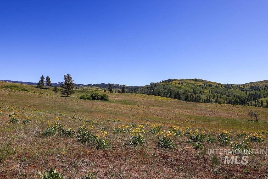 Council, Idaho, 83612, United States, ,Residential,For Sale,1862004