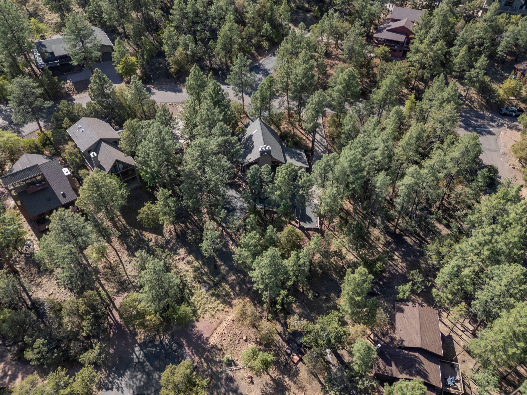 Pine, Arizona, 85544, United States, 3 Bedrooms Bedrooms, ,2 BathroomsBathrooms,Residential,For Sale,1828056
