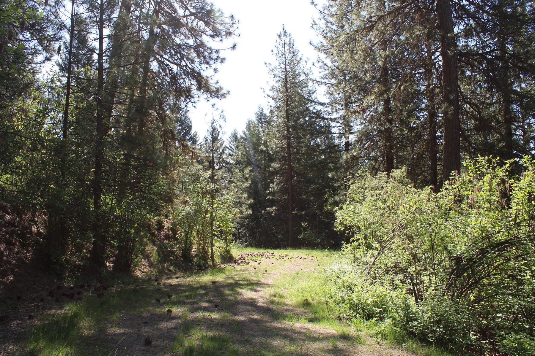 881 S Allen Rd and 2714 E Haven Dr Coeur d
