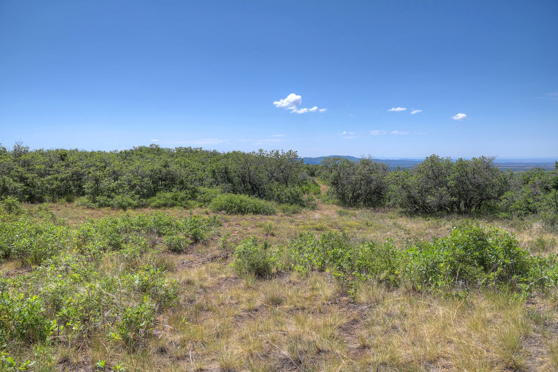  TBD Cross Creek Road, Hesperus, CO 81326 - 物件實景