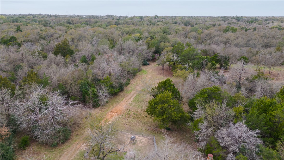 Thornton, Texas, 76687, United States, ,Land,For Sale,2003074