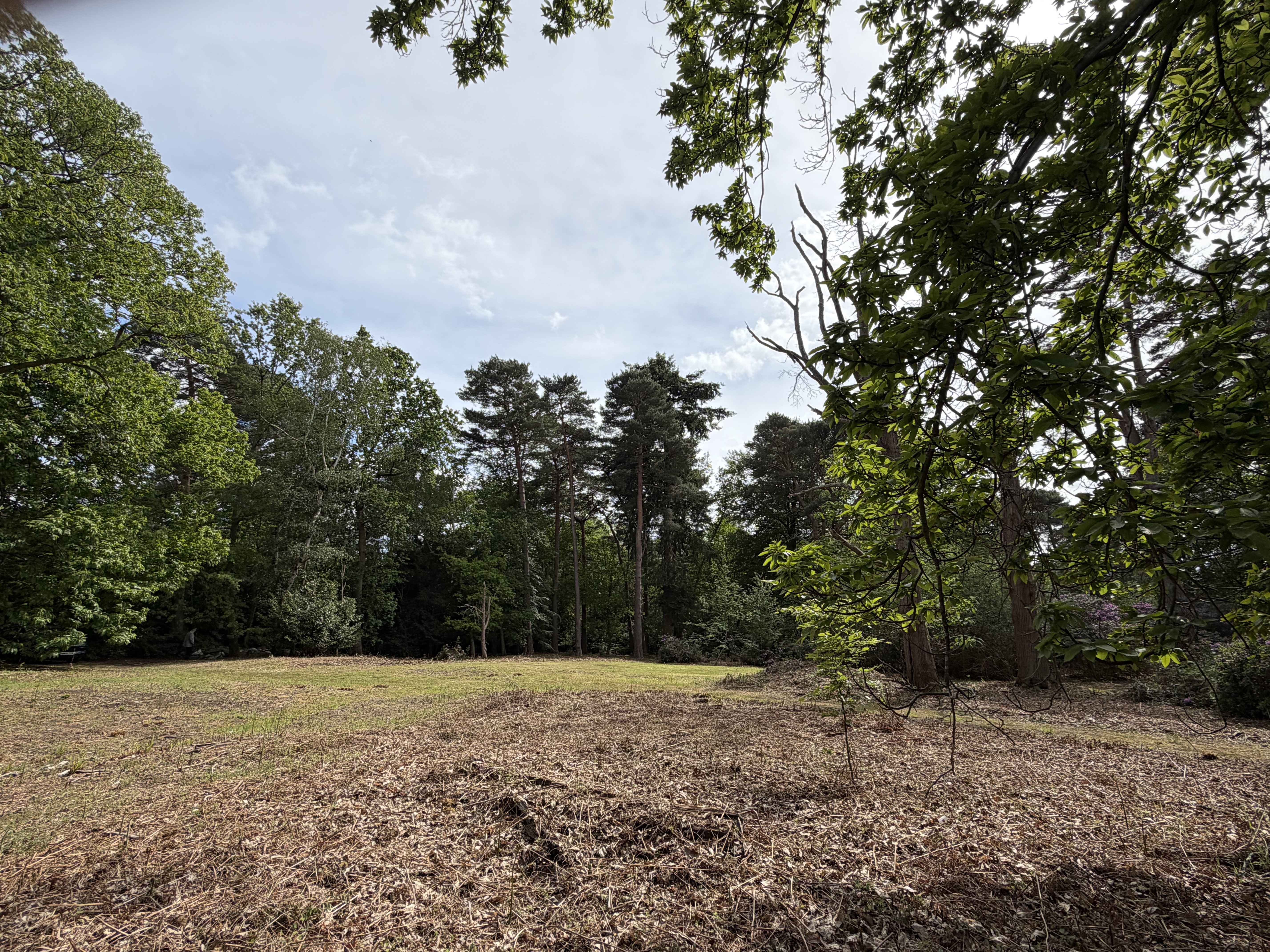  A 6.81-acre development opportunity in the heart of St George’s Hill - 物件實景