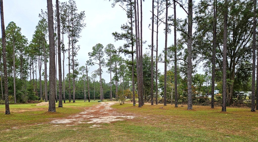 Bainbridge, Georgia, 39817, United States, 4 Bedrooms Bedrooms, ,4 BathroomsBathrooms,Residential,For Sale,1988533