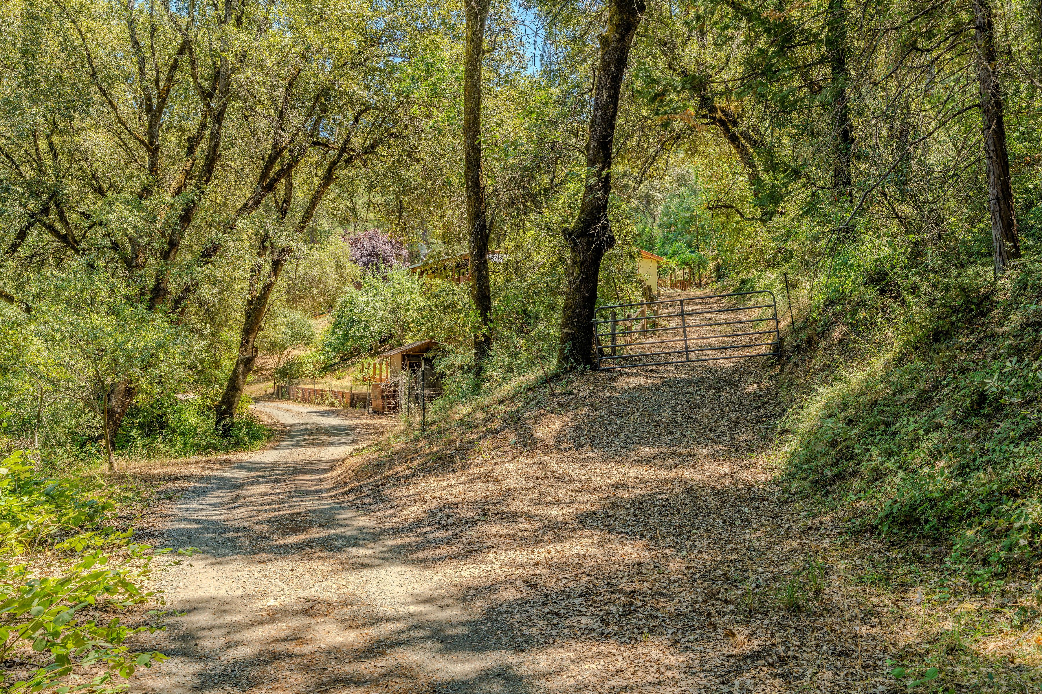  16000 Sutter Creek Road, Sutter Creek, CA 95685 - 物件實景