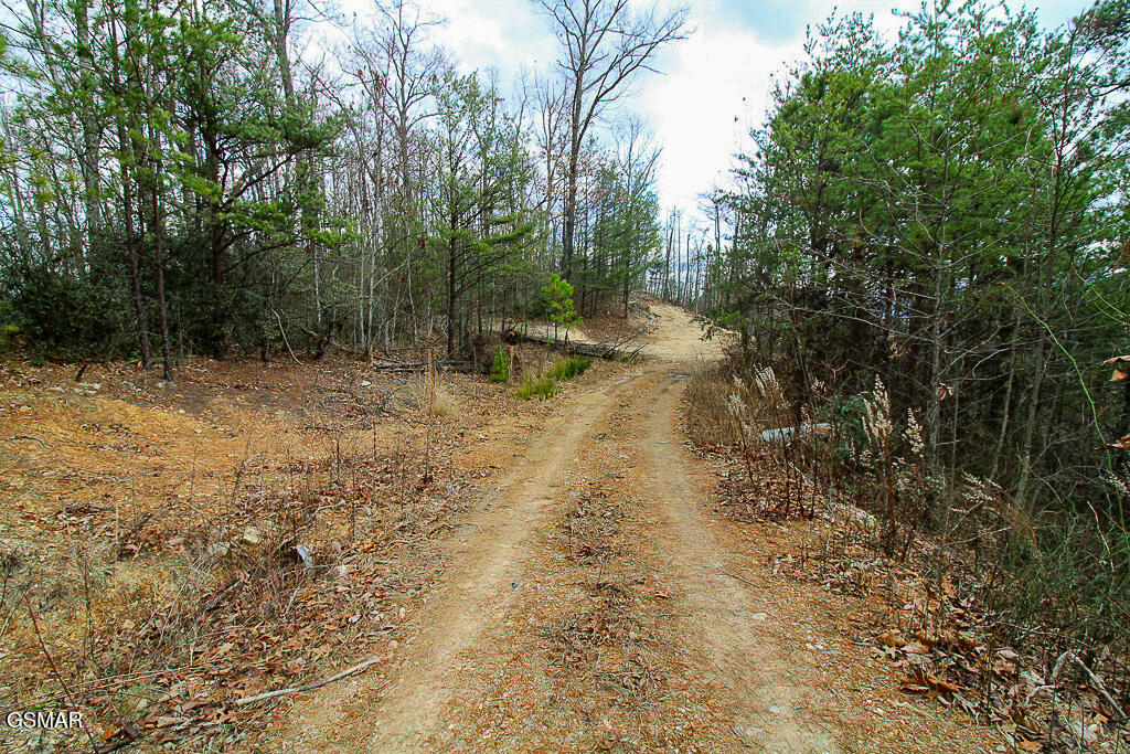 Sevierville, Tennessee, 37876, United States, ,Land,For Sale,2009102