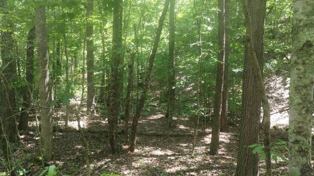 Ranger, Georgia, 30734, United States, ,Residential,For Sale,1924900