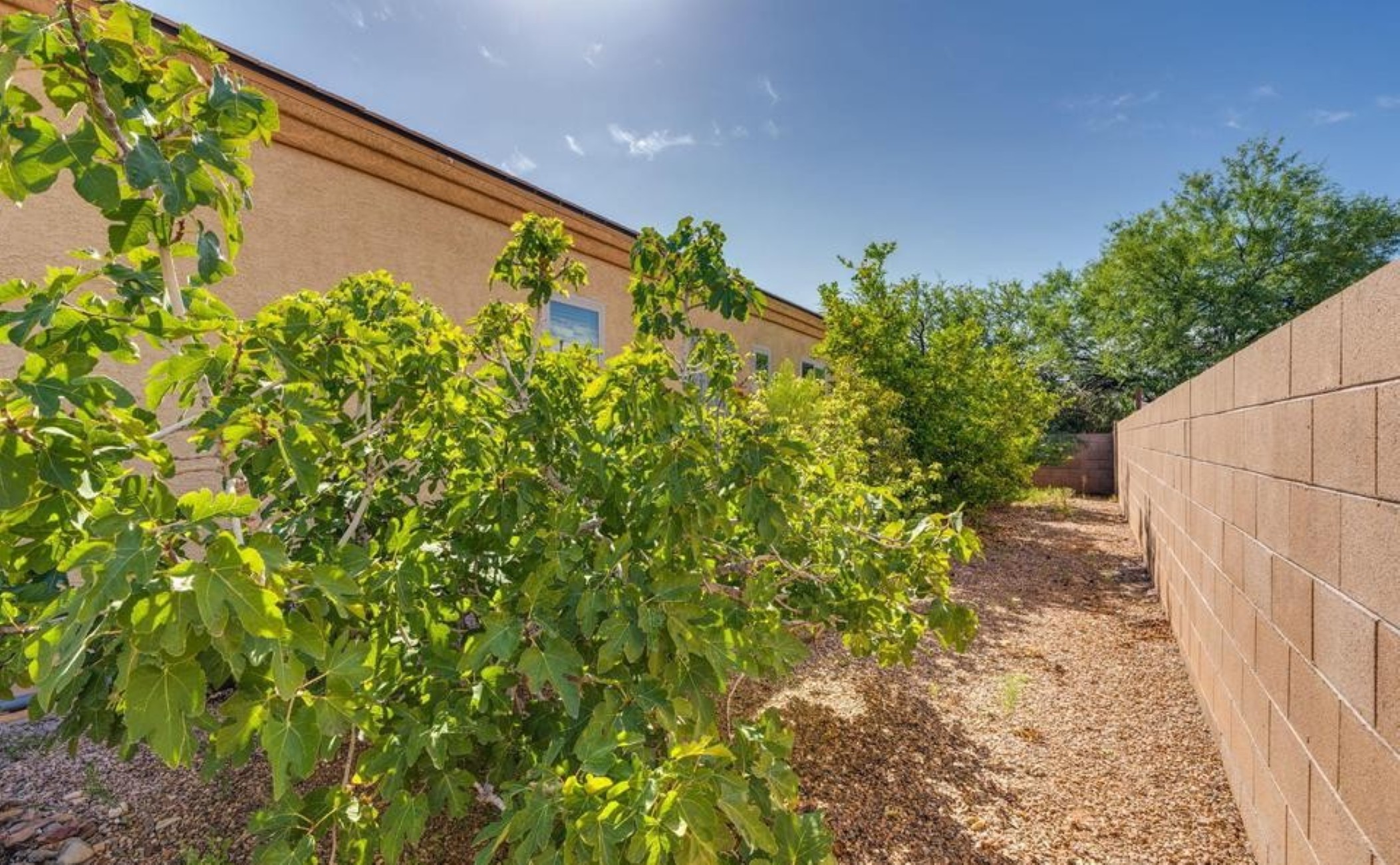  420 W Lexington Street¦Vail, AZ - 物件實景