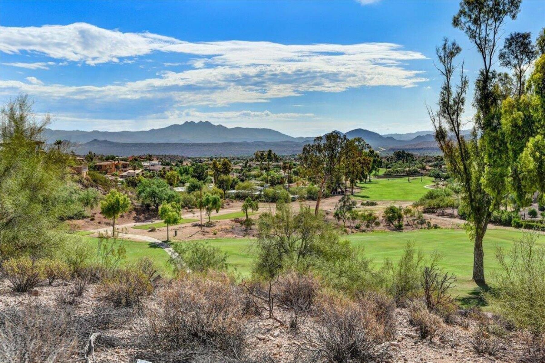  10806 N Cherry Hills Court¦Fountain Hills, AZ - 物件實景