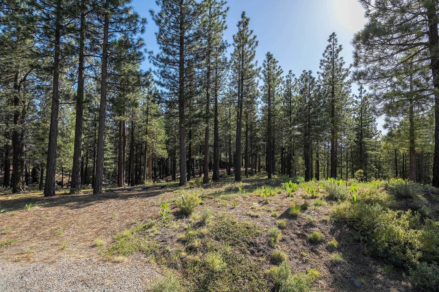  2.69 Private Acres in Nakoma with Stunning Eureka Peak Views - 物件實景