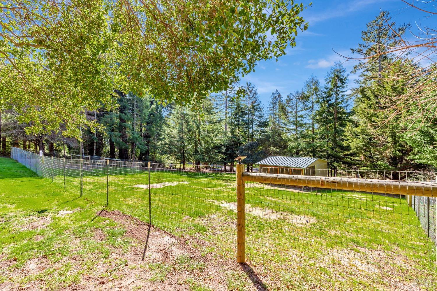 Sebastopol, California, 95472, United States, 4 Bedrooms Bedrooms, ,3 BathroomsBathrooms,Residential,For Sale,1989317