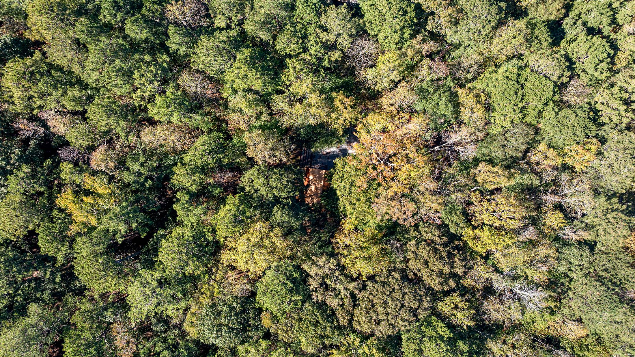 Charming, Private Cabin Overlooking Lake Coweta - 物件實景