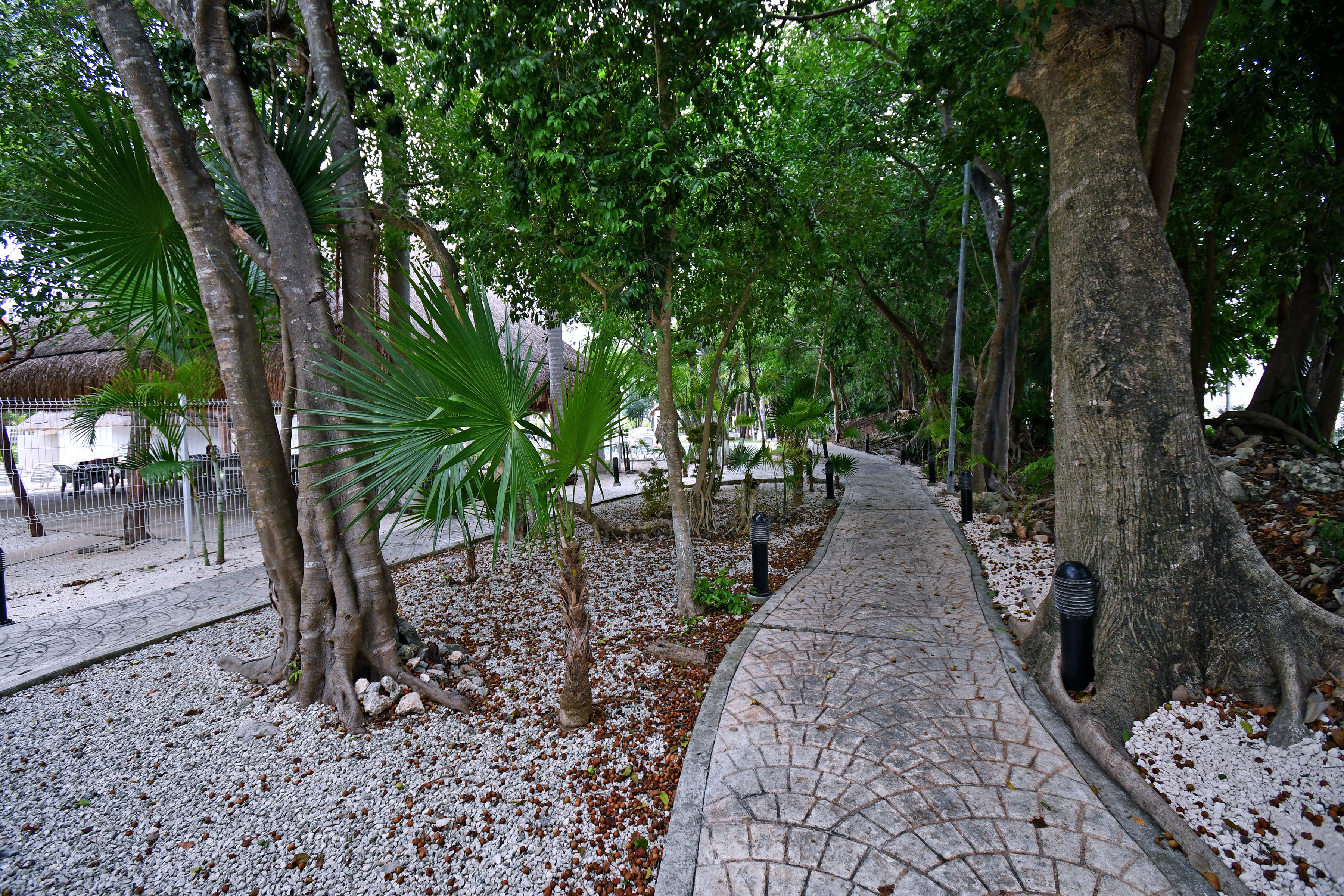  Prime Location & Family Amenities - 物件實景