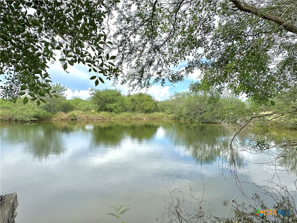 Nursery, Texas, 77976, United States, ,Land,For Sale,1885536