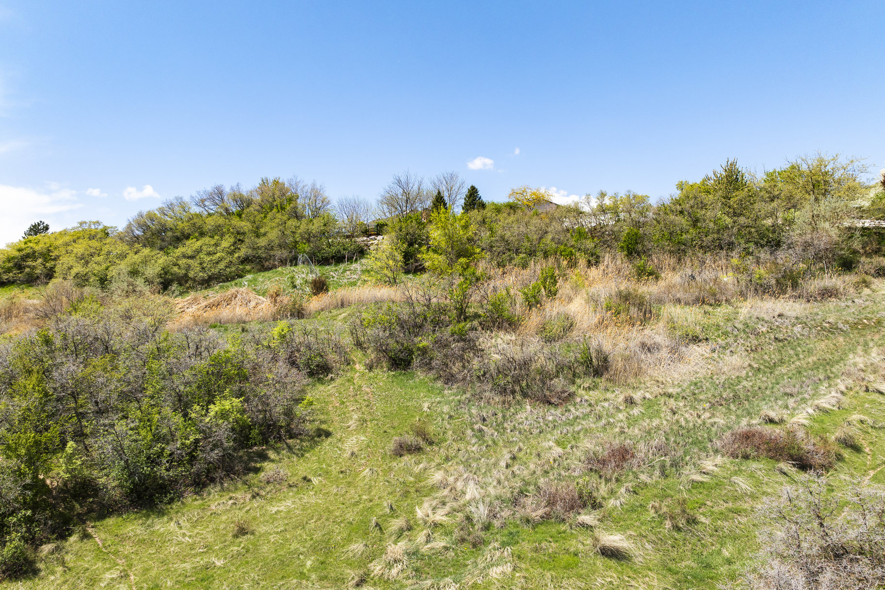  1.47 Acre Lot In East Layton With Endless Possibilities - 物件實景