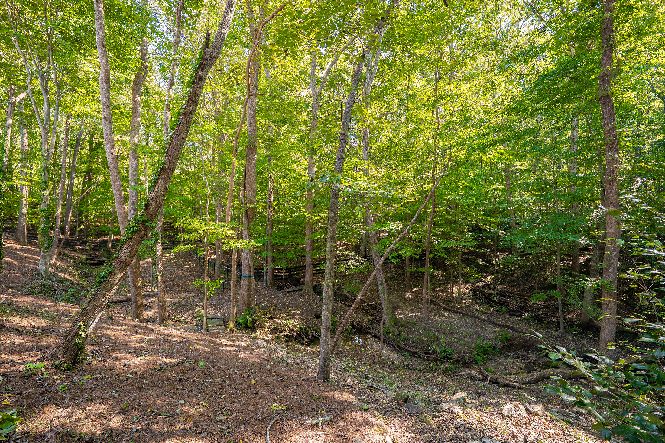  Timeless Colonial Elegance on Two Private Wooded Acres in Litchfield Hundred - 物件實景