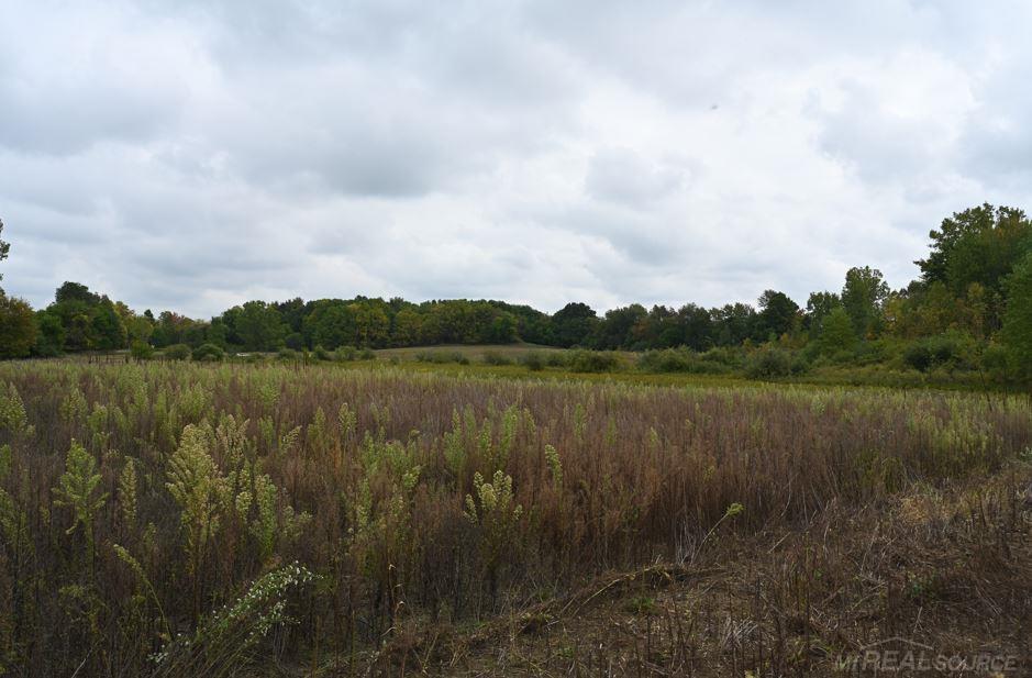 Morrice, Michigan, 48857, United States, ,Residential,For Sale,1942639