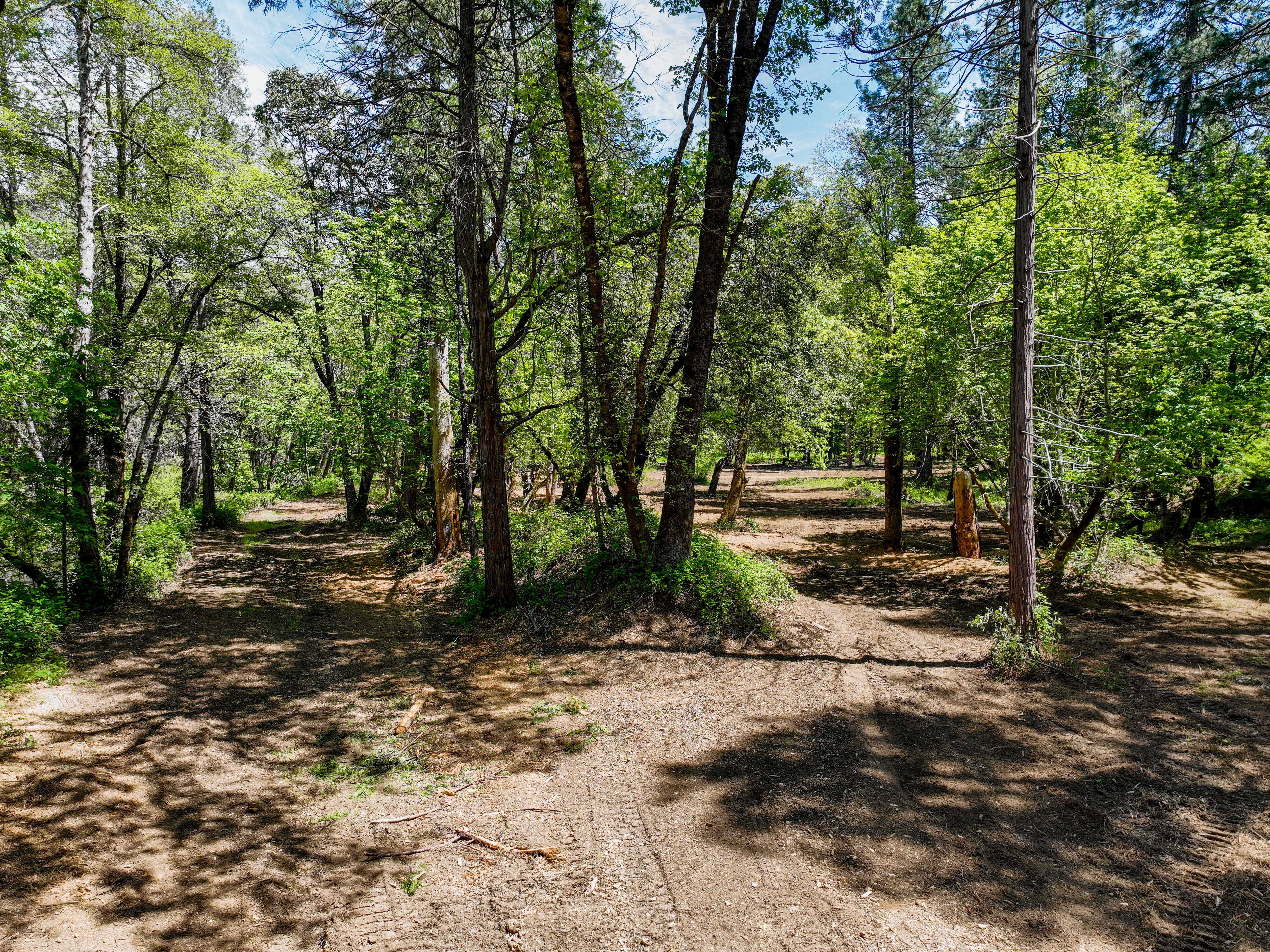  20493 Rector Road, Nevada City, CA 95959 - 物件實景