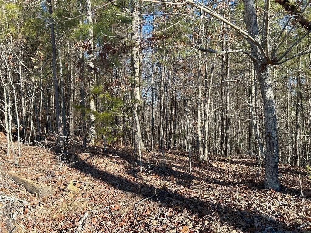 Dawsonville, Georgia, 30148, United States, ,Land,For Sale,1978894